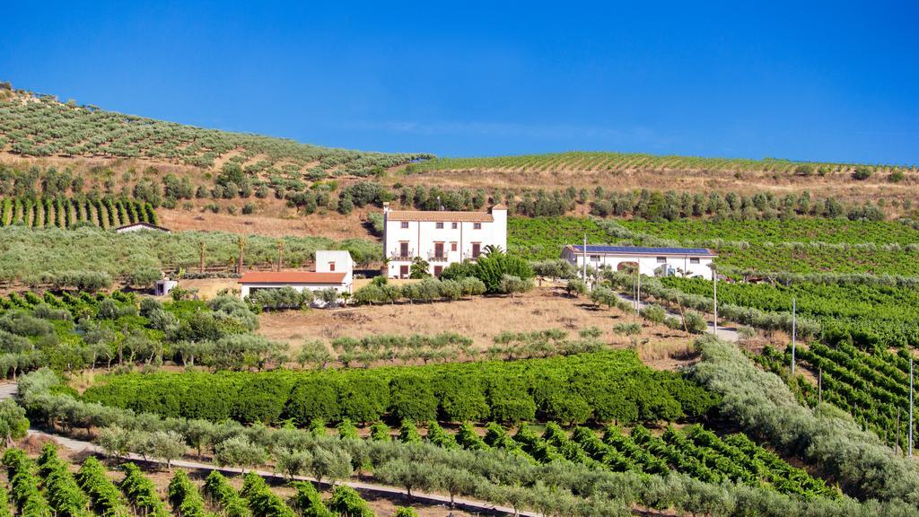 Tenute Piazza Countryhouse Ribera Bagian luar foto